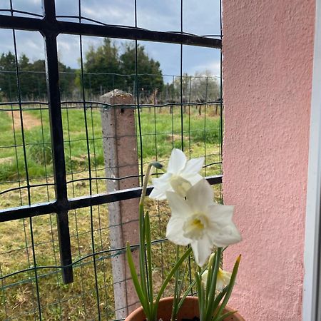 Le Bon Coin Apartment Perissac Bagian luar foto